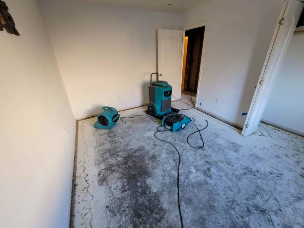 Best Ceiling water damage repair  in Le Grand, CA